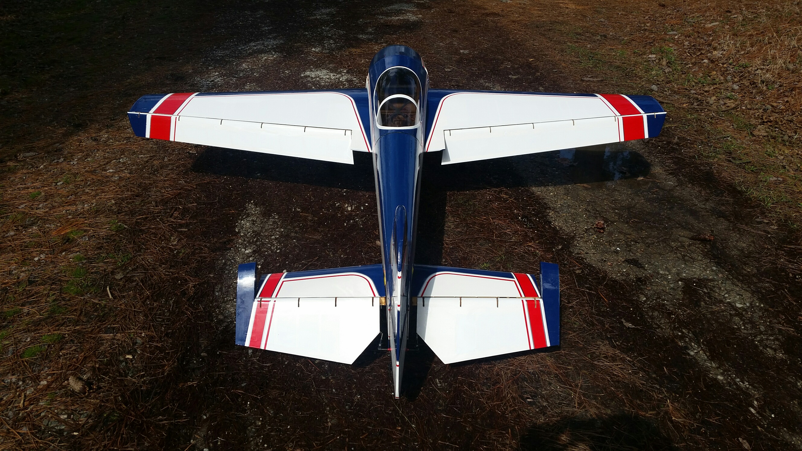 Yak 7.jpg