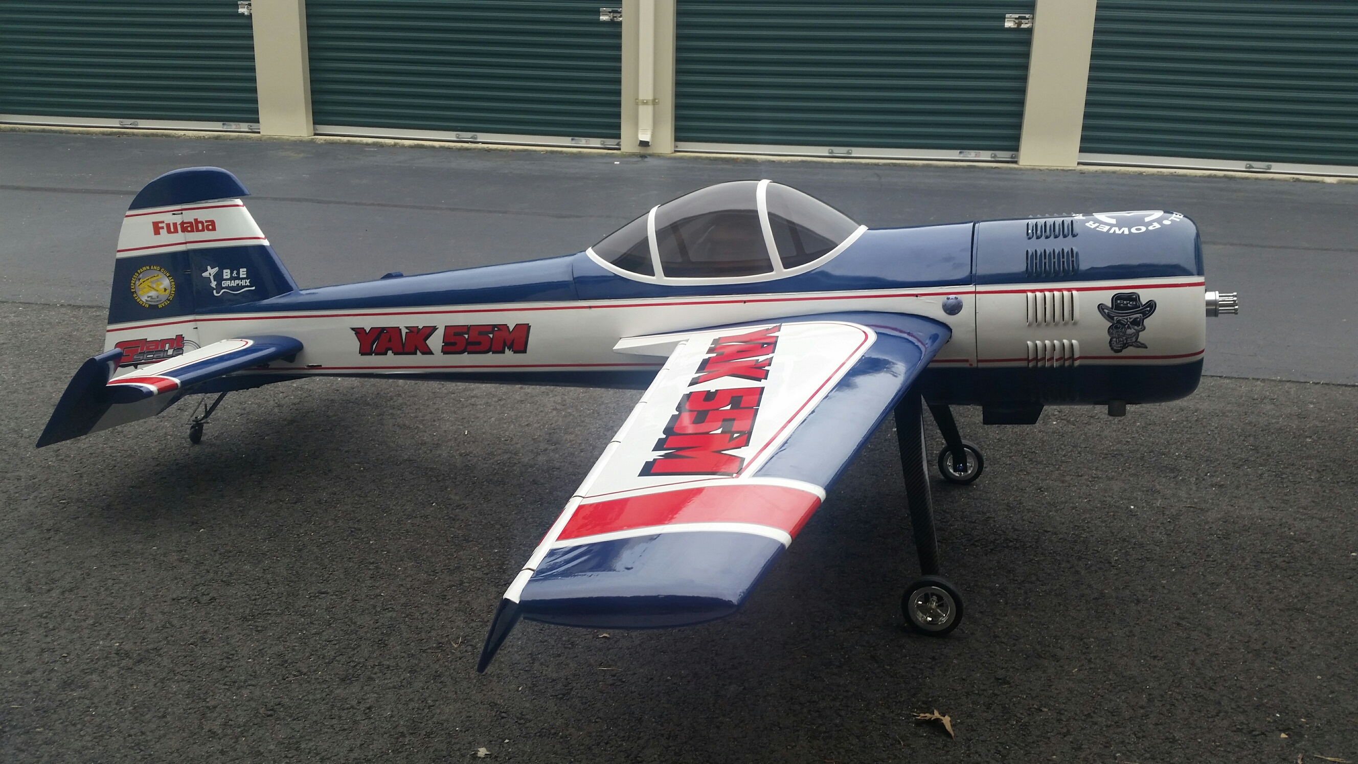 Yak 81.jpg