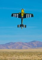 D2B_5871.jpg