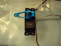 DSC08794.JPG