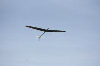 408513_orig.jpg