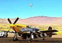 p51-mustangs-lou-iv-and-strega-2010-reno-air-races-gus-mccrea.jpg