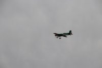 IMG_4629dxo.jpg
