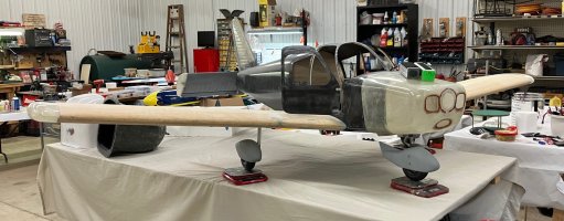IMG_3953.jpg