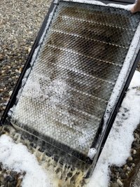 IMG_4198.jpeg