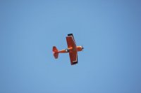 IMG_3126.JPG