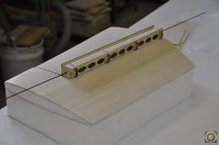 _DSC0251.JPG