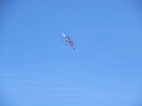 IMG_0021.JPG