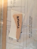 WING - aileron curve template (2).jpg