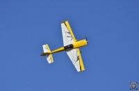 _DSC9866.JPG