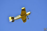 _DSC9889.JPG