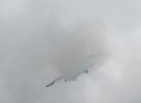 MIII2363.jpg