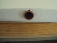 DSC08903.JPG