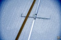 _DSC0379.JPG