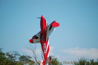 DSC_0102.JPG