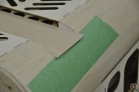 _DSC0503.JPG