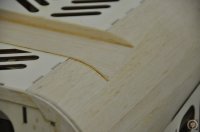 _DSC0508.JPG