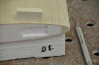 _DSC0527.JPG