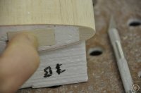 _DSC0528.JPG
