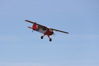 IMG_8992.JPG