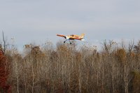 IMG_9378.JPG
