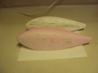DSC09439.JPG