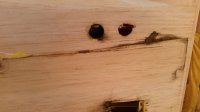 20160210_190120.jpg 20160210_190120.jpg