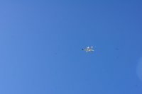 DSC01805.jpg