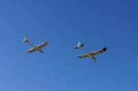DSC01863.jpg