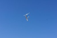 DSC01866.jpg