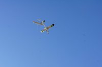 DSC01899.jpg