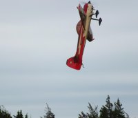 Jonathan Jennings flying his Yak #9.jpg