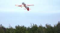 Jonathan Jennings Flying his Yak #19.jpg