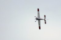 RobJ flying his 3dhs 87 Extra #8.jpg