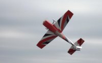 RobJ flying his 3dhs 87 Extra #9.jpg