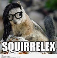 squirrelex-17117.jpg