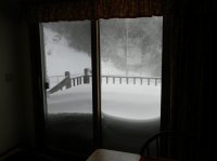 DSCN5158.jpg