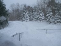 DSCN5159.jpg
