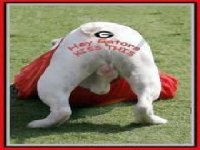 051309Go%20Dawgs.jpg