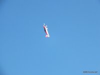 DSCF0468.jpg