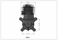 dle61-3.jpg