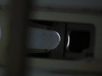 IMG_4428.JPG
