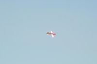 DSC_0424_zpsa72ce237.jpg