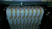 3drcf print.jpg