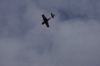 DSC03721.JPG