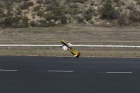 IMG_8732.jpg
