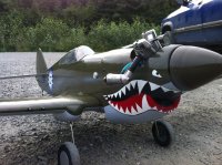 P-40.jpg