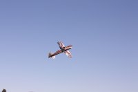 aerobeez-slick-gas-airplane.JPG