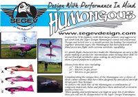 Humongous flyer 2.jpg