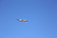 IMG_9974.jpg